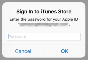 Sign In to iTunes Store